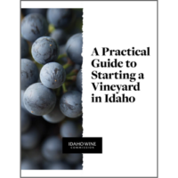 Practical guide to starting a vineyard in Idaho cover