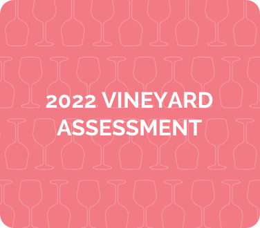 2022 vineyard assessment