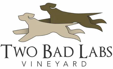 Two Bad Labs Vineyard / Tammany View Winery