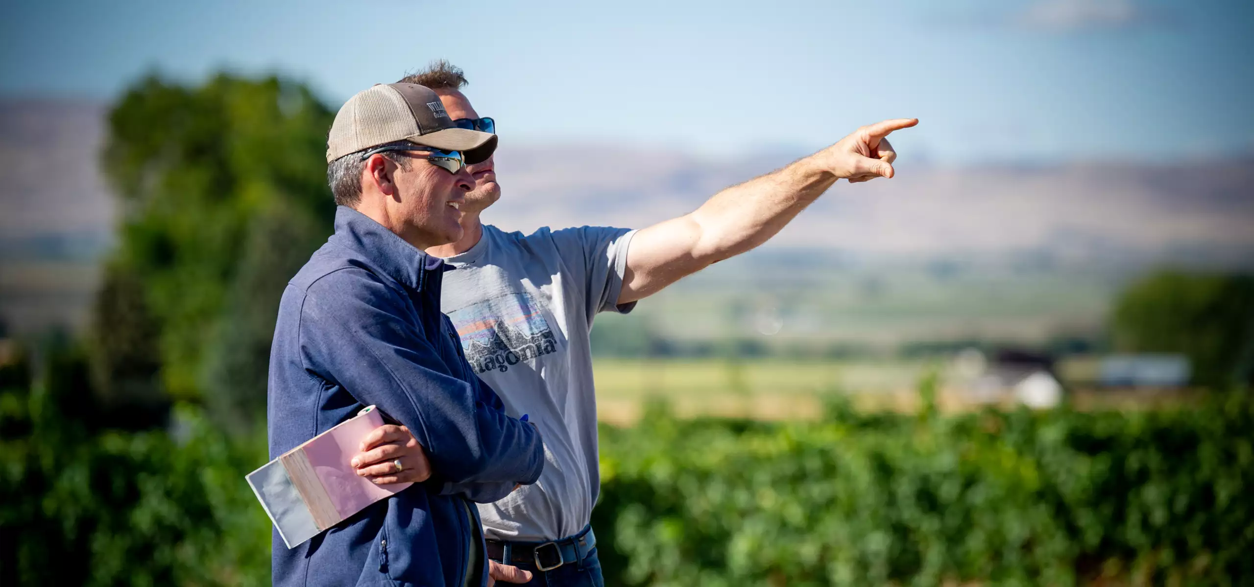 Two men standing in a vineyard; one is pointing at something