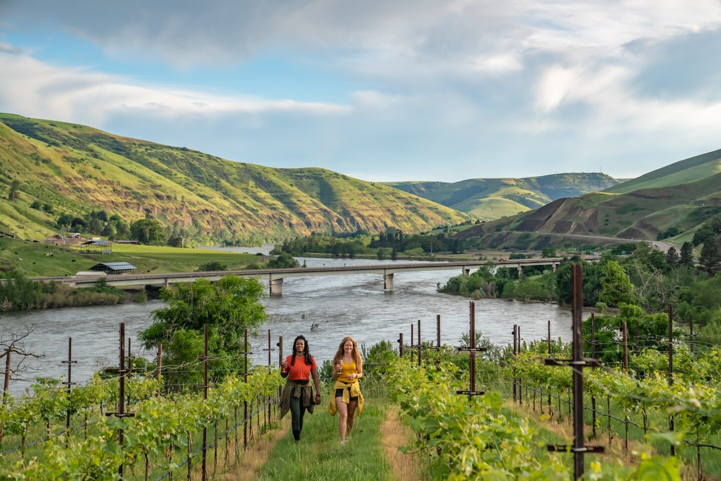 Rivaura vineyard view with two women walking